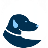 Kisállat barát szálláshely, kutyazuhany